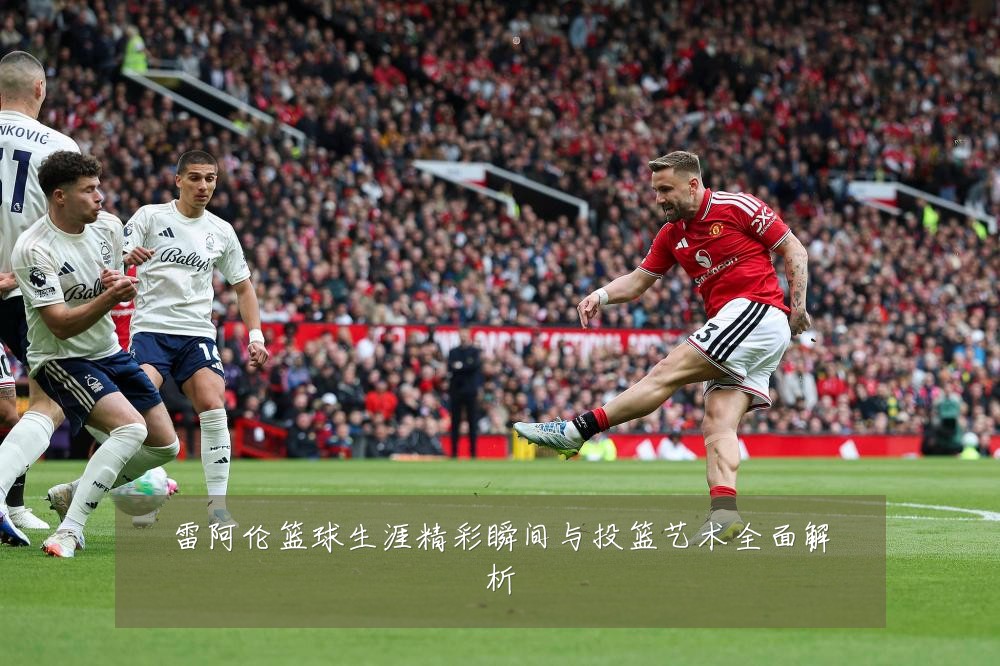 雷阿伦篮球生涯精彩瞬间与投篮艺术全面解析